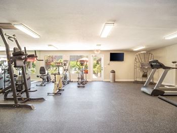 a gym with a lot of exercise equipment and a flat screen tv on the wall